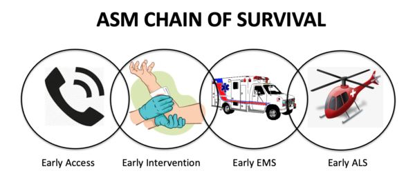 ASM-Chain-of-Suvival-600x280